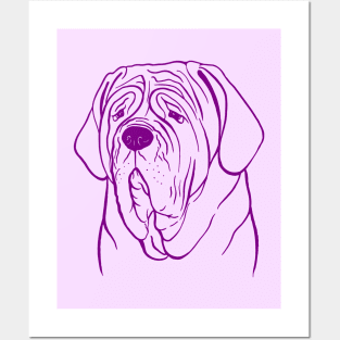 Neapolitan Mastiff (Lilac and Purple) Posters and Art